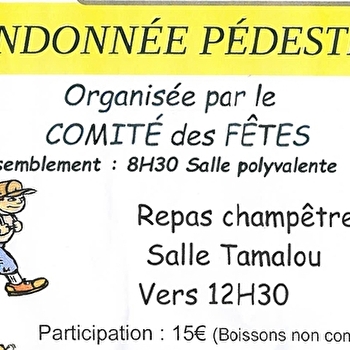 RANDONNEE PEDESTRE - VARZY