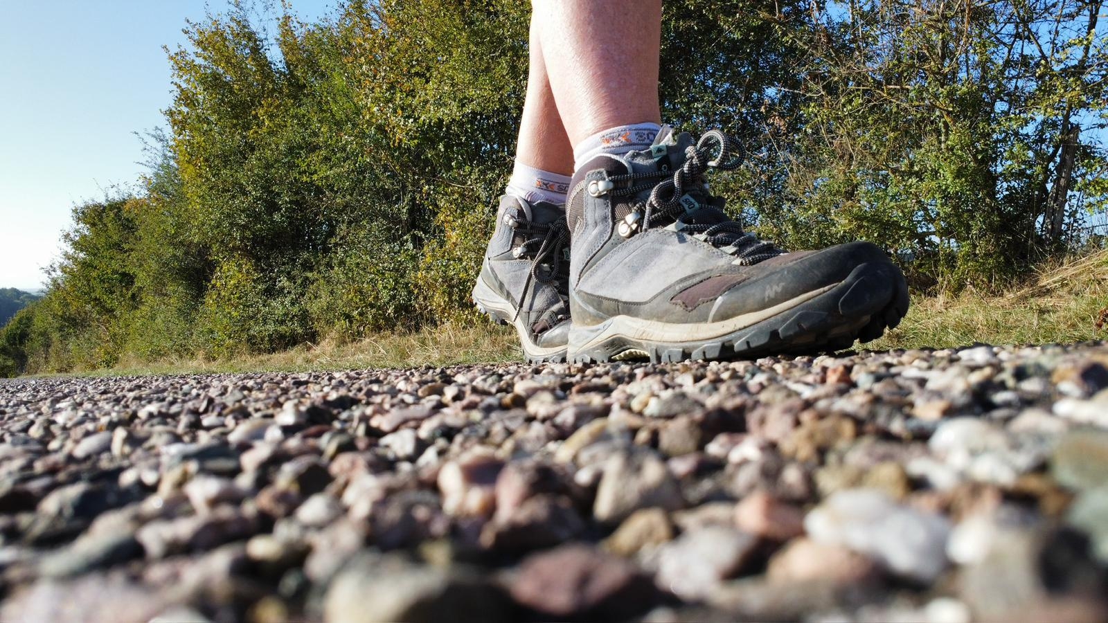 Marche de la Via Francigena en fête