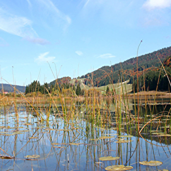 Le lac de Lamoura  - LAMOURA