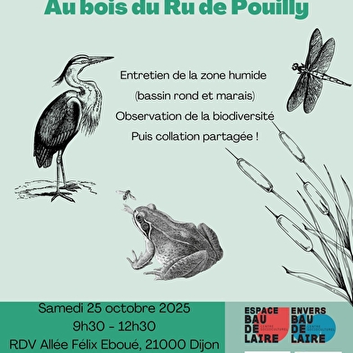 Chantier nature au bois du Ru de Pouilly_ENS2025