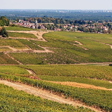 La Boucle de Bourgogne du Sud