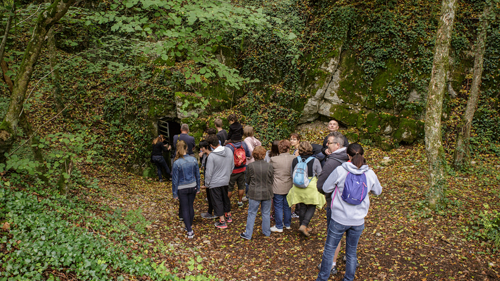 Promenade de la forêt du Mont