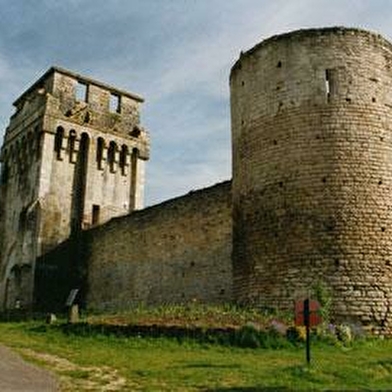 Château-Fort des Comtes d'Auxerre et de Nevers