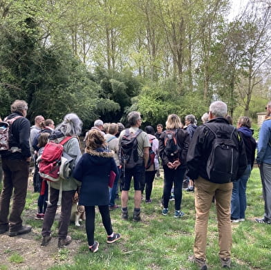 Balades naturalistes gratuites sur la nappe de Dijon Sud  et de la Cent Fonts - Parcours 2 (Saulon-la-Chapelle ; Noiron-sous-Gevrey) - ENS2025