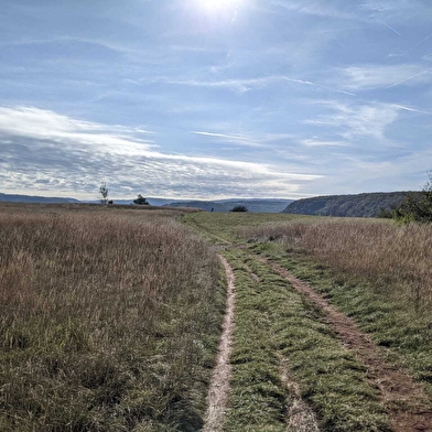 Sentier Courbet 2 : Courbet, l'habitant du vallon