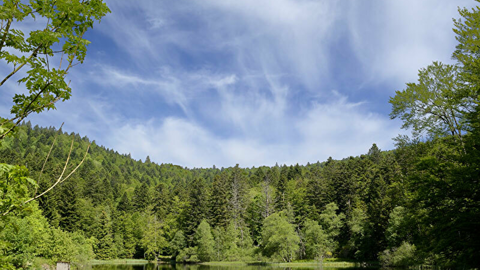 La vallée de la Savoureuse