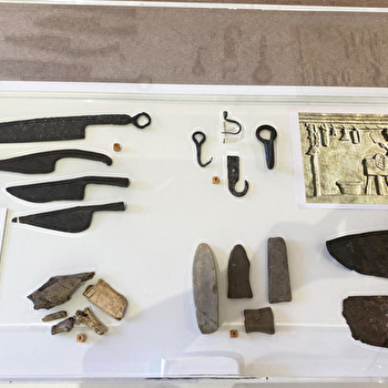 Visite commentée des collections - CHAMPAGNOLE