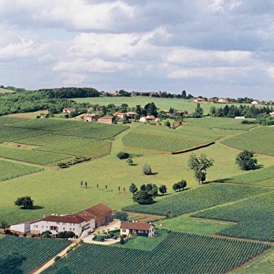 Domaine de la Feuillarde