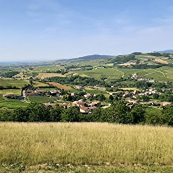 Le Bois de Fée - LEYNES