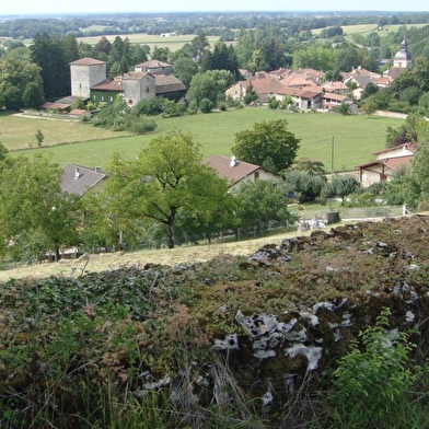 Randonnée - Belvédère du Mont de Grillerin