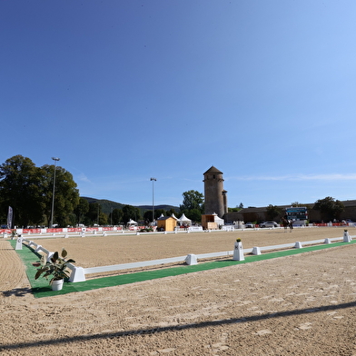 Concours Hippique - Dressage pro élite