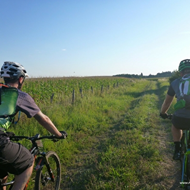 Circuit VTT Le Grand Tour des Monts de Gy 