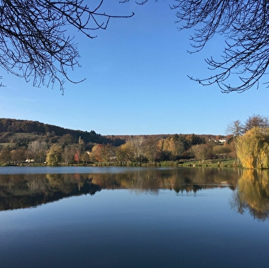 Baignade à l'étang des Prés de la Ville