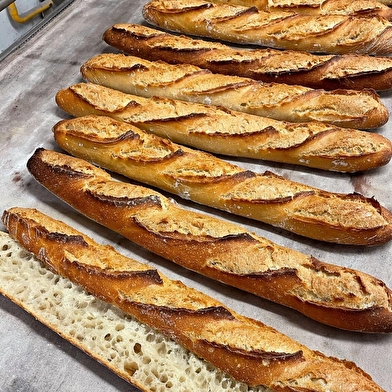50 Nuances sucrées