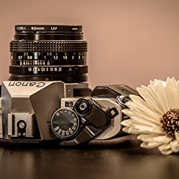 Labo photo végétal - Atelier 4-6 ans - AUTUN