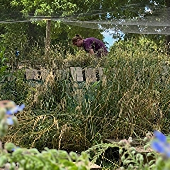 Visite des parcs à escargots et dégustation de produits de la ferme - BESANCON