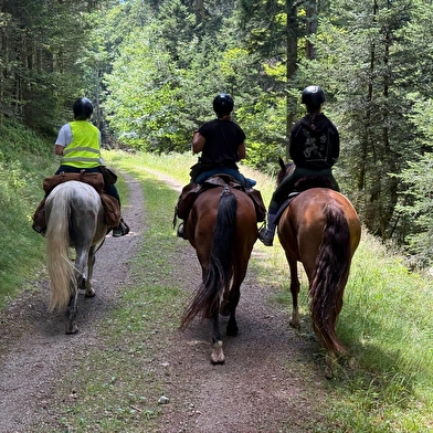  Fêtons Halloween à cheval !