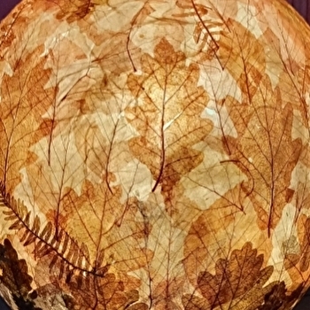 Atelier des savoir-faire : Atelier Graines d'artisans - Impressions et papier végétal - RAVILLOLES