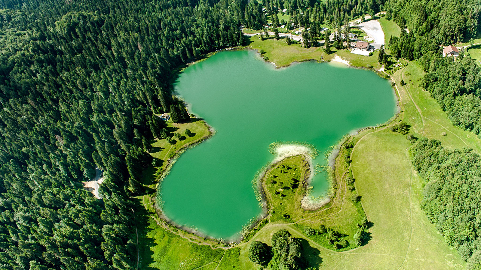 Parcours VTTAE 70 bleu - D'Oyonnax au lac Genin - Espace FFC Ain Forestière