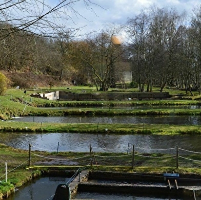 EURL Le Moulin