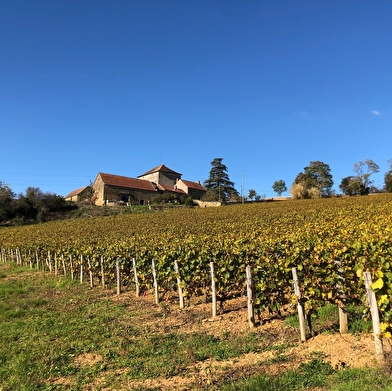 Tour du blé - Gîte Castor