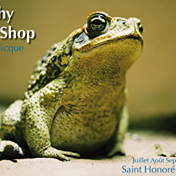 Exposition photos - SAINT-HONORE-LES-BAINS
