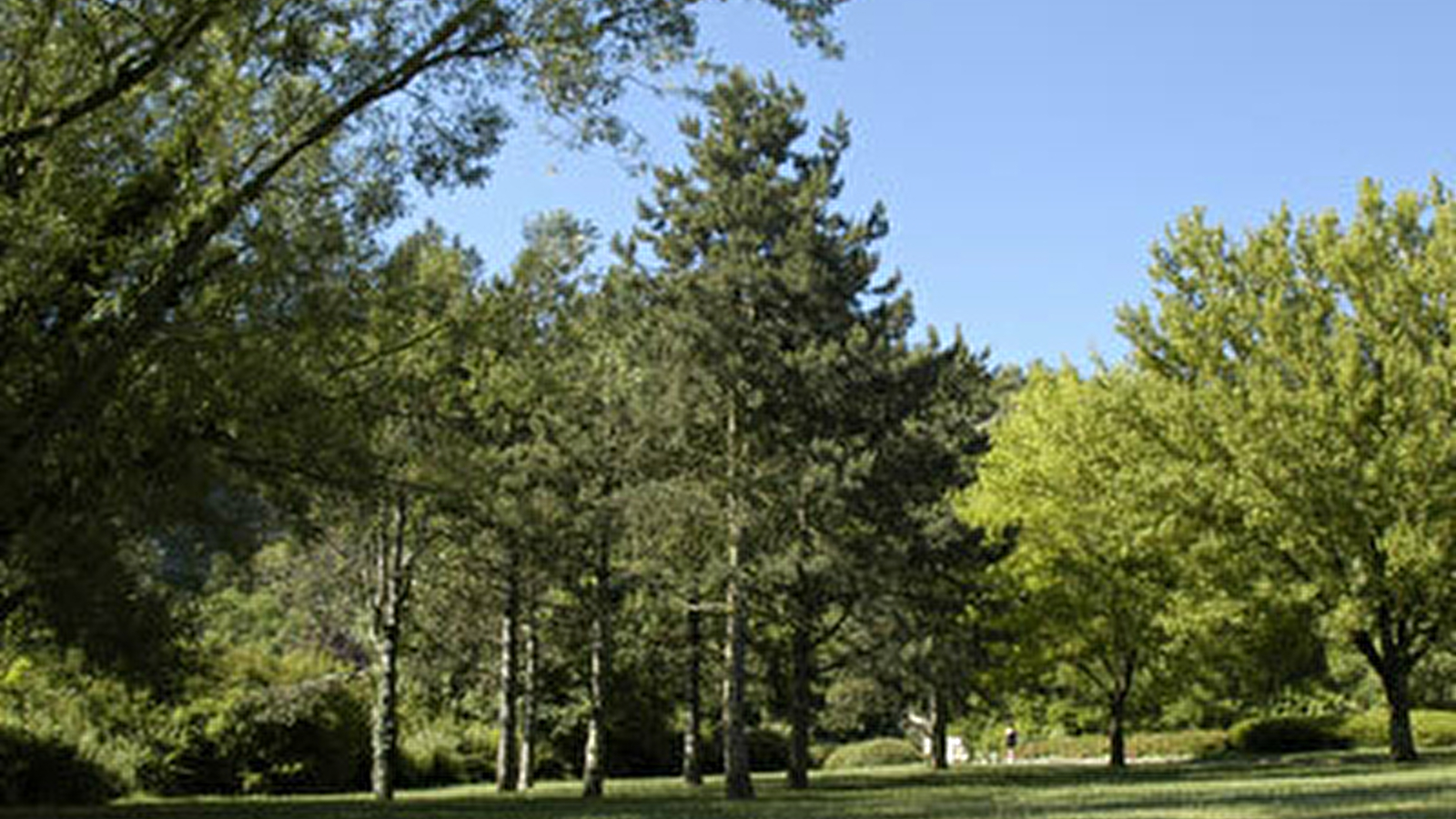 Parc des Carrières Bacquin