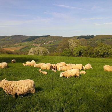 La Ferme du Mont Rouge