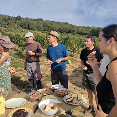 Dégustation 3 vins au Domaine de la Cozanne