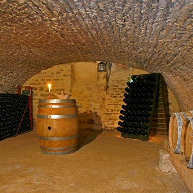 Musée du vigneron - Domaine Sylvain Bouhélier