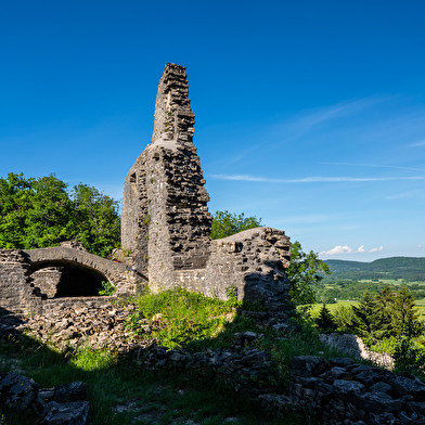 Vestiges du château de Présilly