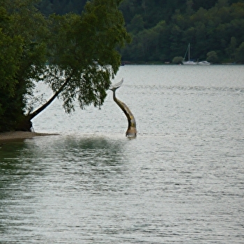 Sentier 'La Sirène Egarée' - MAISOD