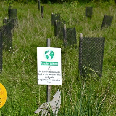 Sur les sentiers de Bretigny : à la découverte de la biodiversité sur un territoire en transition
