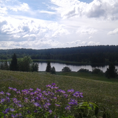 Belvédère sur les Lacs