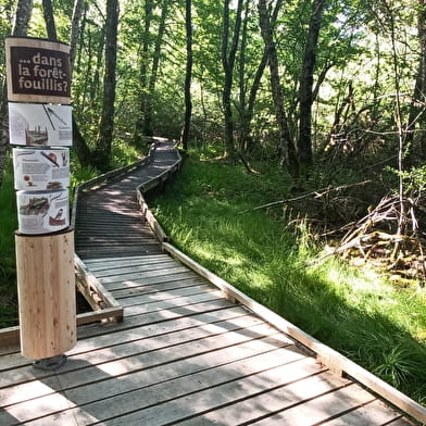 Sentier de découverte de l'étang Taureau 