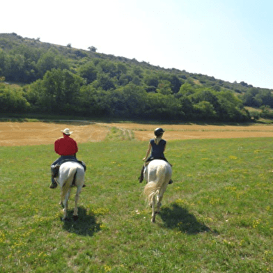 La Genette et la Salamandre