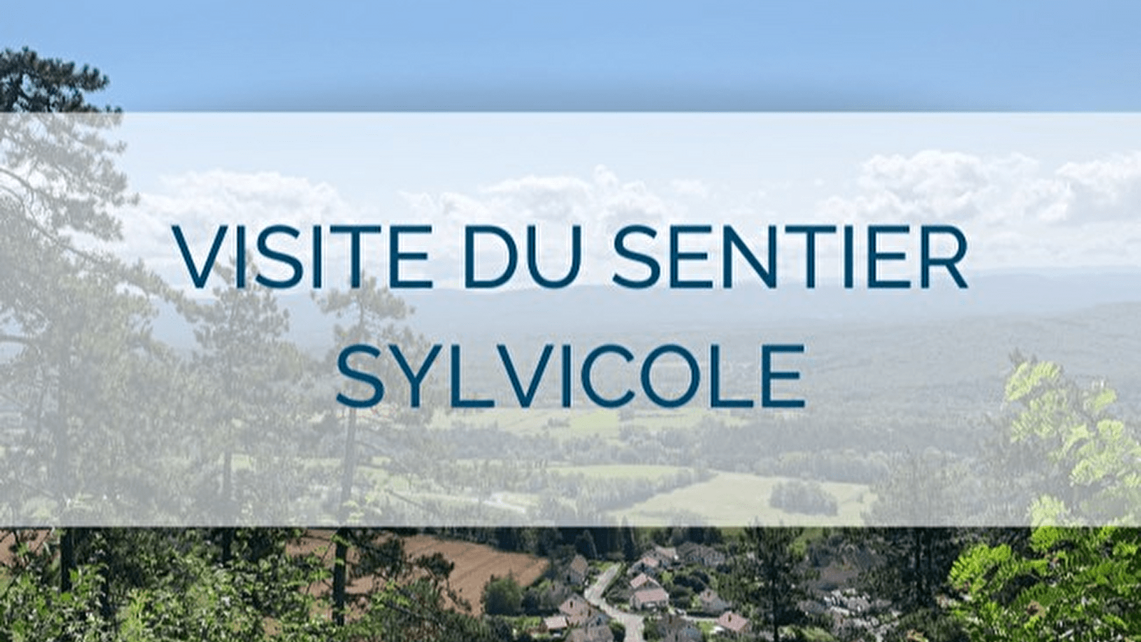 Visite guidée du sentier sylvicole d'Orgelet