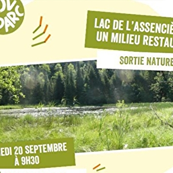 Balade : le lac de l'Assencière, un milieu restauré - CHATEL-DE-JOUX