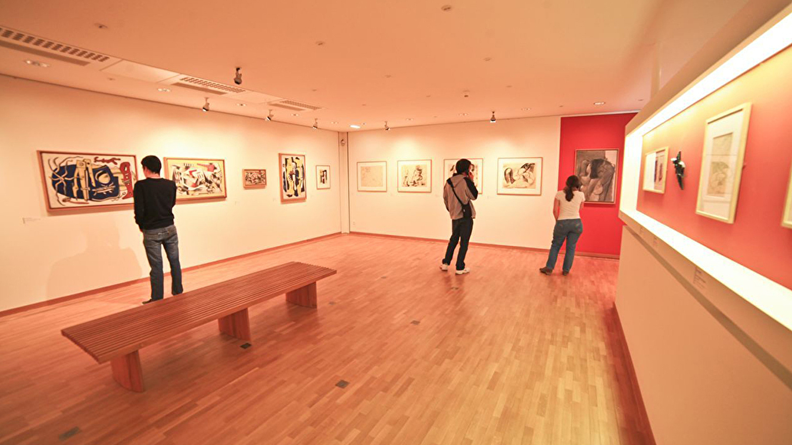 Musée d'Art Moderne - Donation Maurice Jardot
