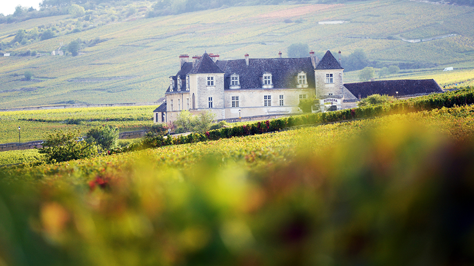 Séjour oenologie et Truffes de Bourgogne