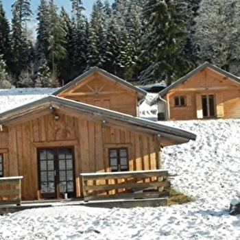 Chalet Chez Liadet - Gentiane - MOUTHE