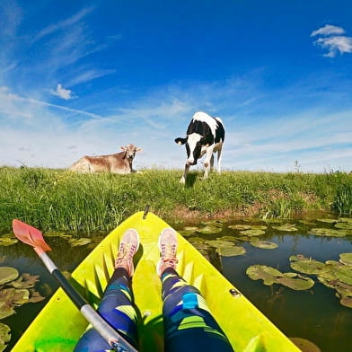 Pagayer sur l'Ognon (canoë-Kayak)