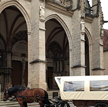 Promenades en calèche à Semur-en-Auxois - SEMUR-EN-AUXOIS