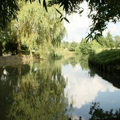  Sentier du moulin de Vanneau