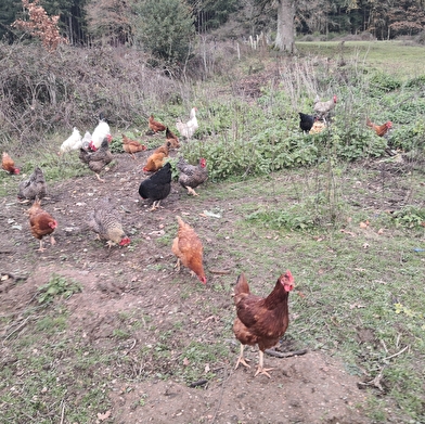 La Ferme des Grands Champs