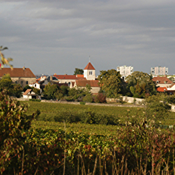 Ville de Chenôve - CHENOVE
