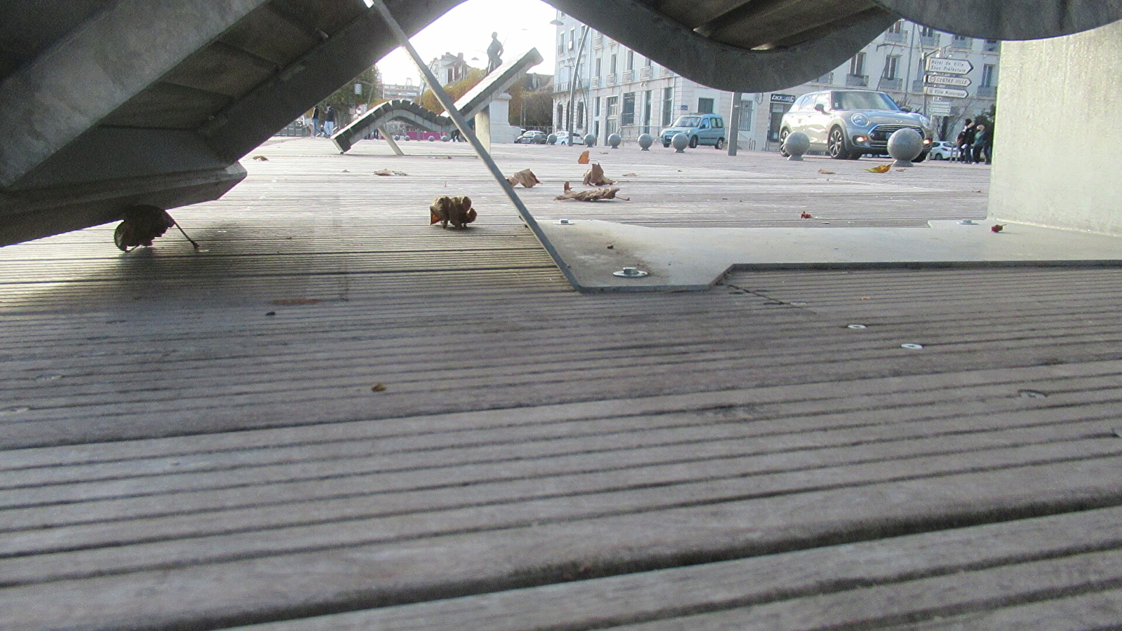 Atelier photographique Point de vue et photoreportage