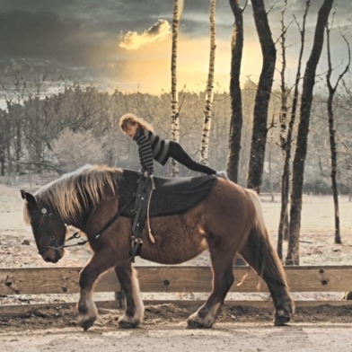 Majaz'L - Centre Equestre du Bois du Loup