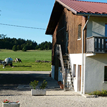 Appartement - Narcisse - LES FOURGS