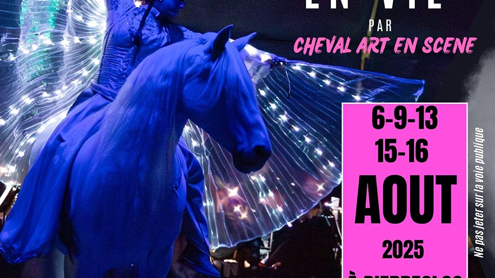 Spectacle equestre 